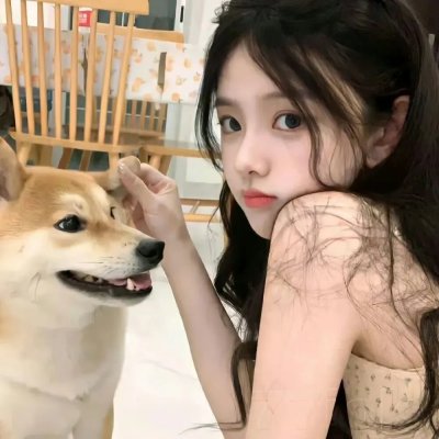 摩登女婿